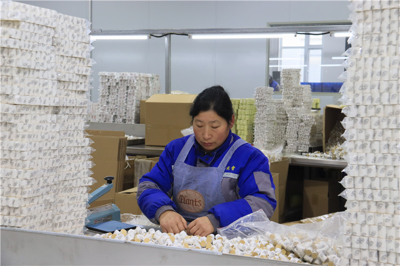 河南南阳：艾制品生产忙 艾产业迎“开门红”